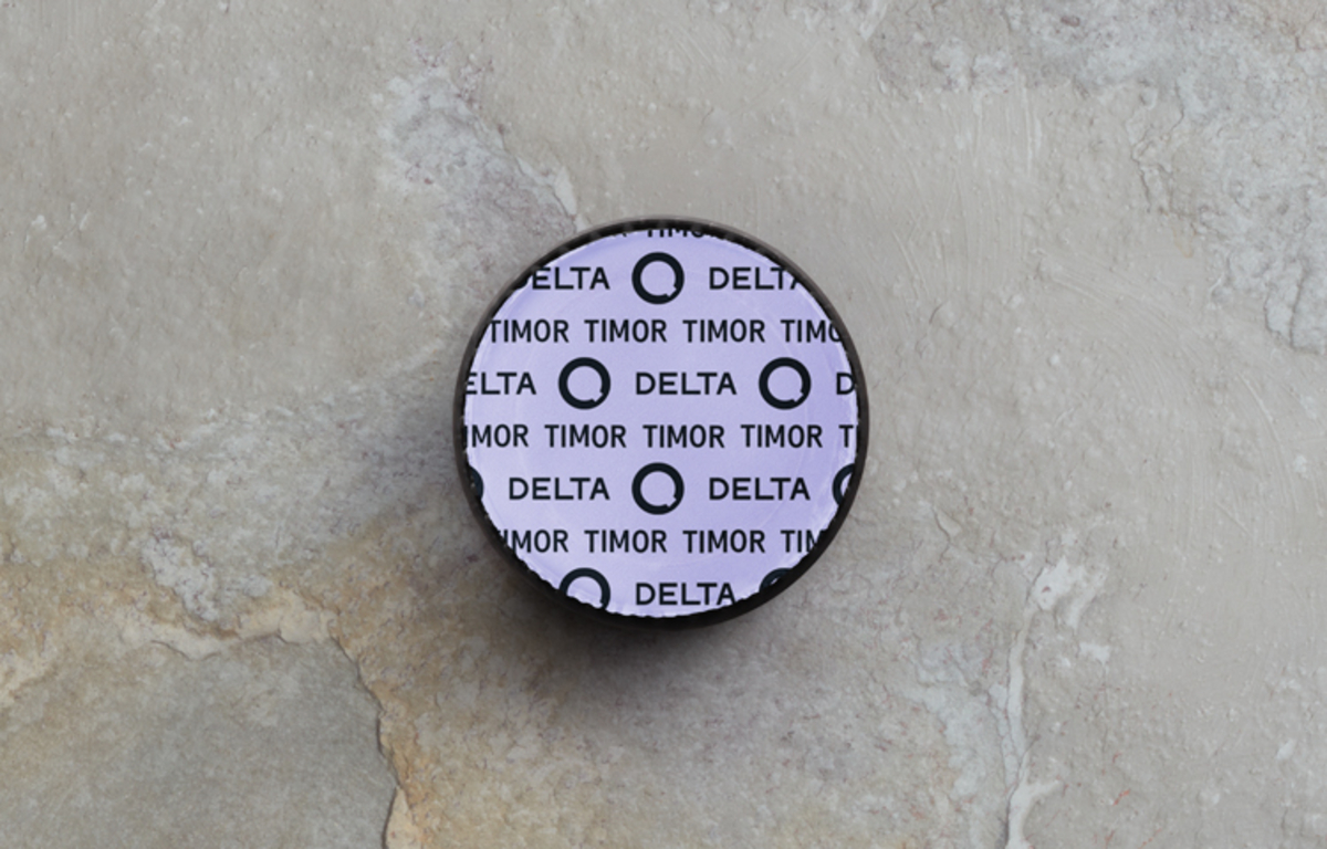 Delta Q Timor Delta Q Timor
