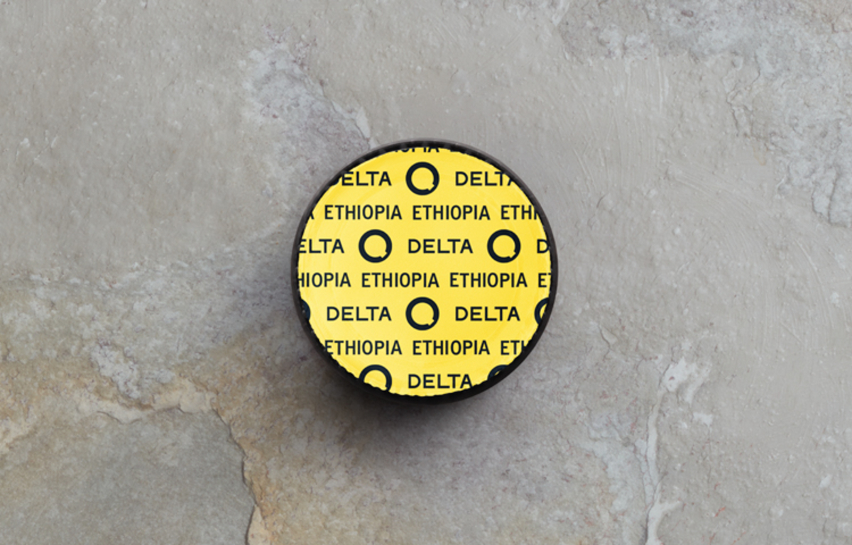 Delta Q Ethiopia Delta Q Ethiopia