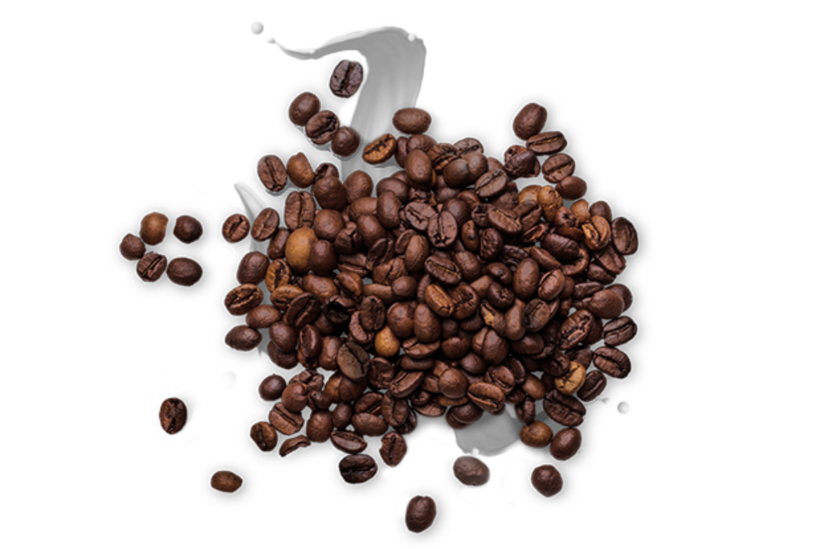 Go Chill Caffe Latte Go Chill Caffe Latte